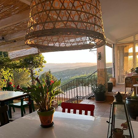 El Nispero Dulce Bed & Breakfast Alcaucin Exterior photo