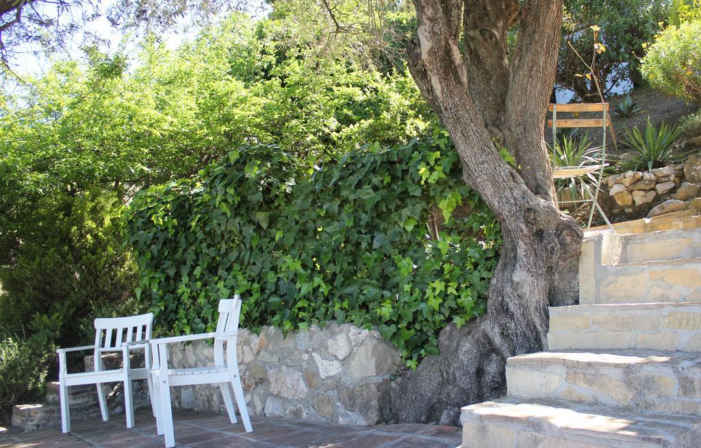 El Nispero Dulce Bed & Breakfast Alcaucin Exterior photo